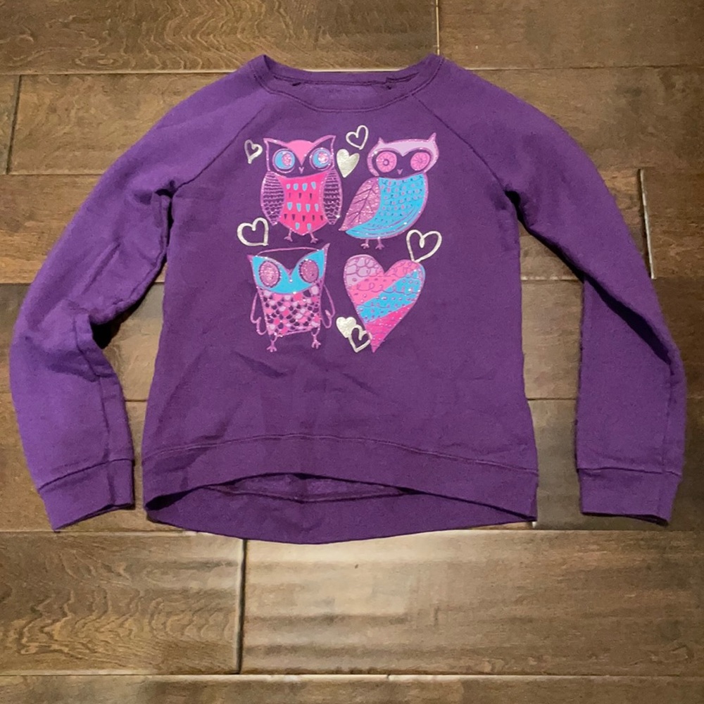 Pre-loved Hanes purple owl Sweatshirt